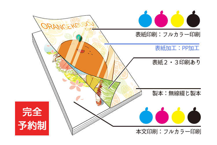 ꥮꥪǥޥɥ륫顼PPå