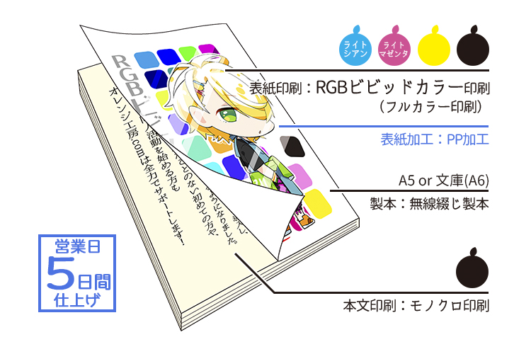 RGBӥӥåɥ顼ǡ۾PPåȡɽե륫顼ʸΥ