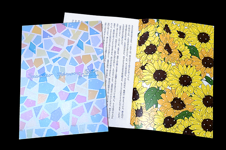 ���ޡ����꡼������PP���å� ����ץ�