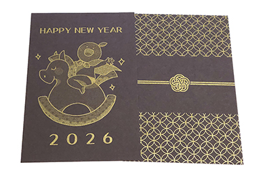 �ӥ��ȡ���GA-FS170��