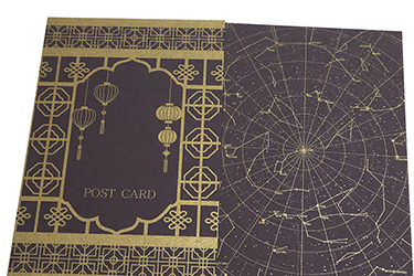 �ӥ��ȡ���GA-FS170��